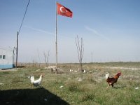 163-6389 IMG