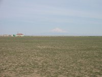 164-6420 IMG