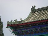 DSCN1181