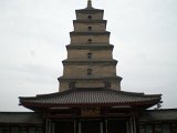 DSCN1442