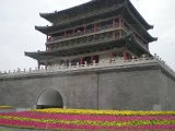 DSCN1444