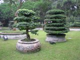 DSCN1532