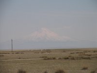 IMG 1390
