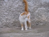 IMG 1563
