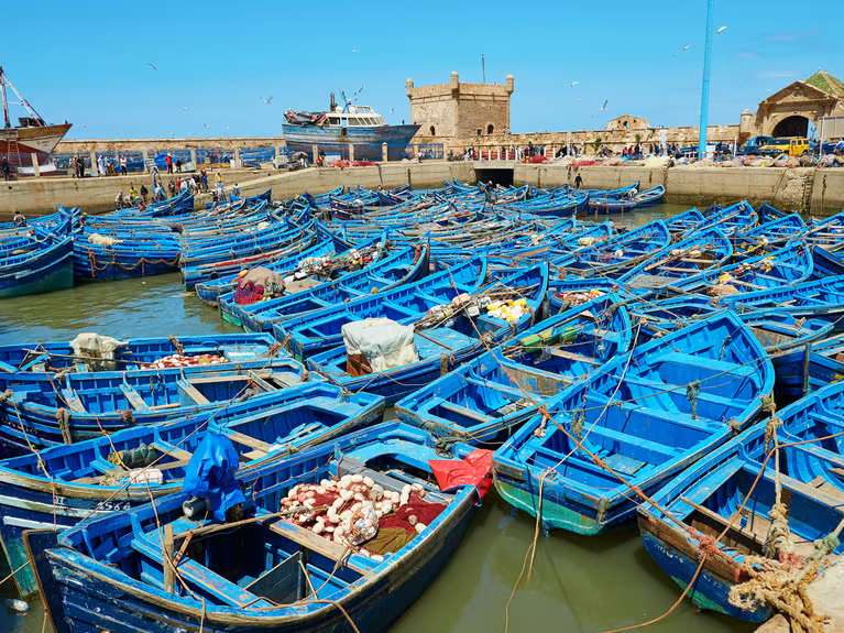 Blue boats in Essaouira harbour